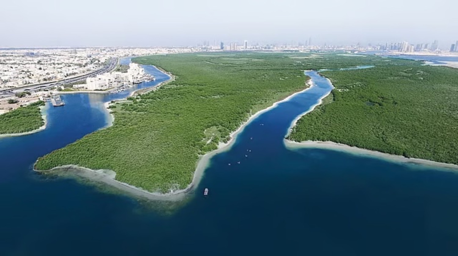 Émirats : 100 millions de mangroves d’ici 2030 | Die Geissens Real Estate | Luxus Immobilien mit Carmen und Robert Geiss – Die Geissens in Dubai