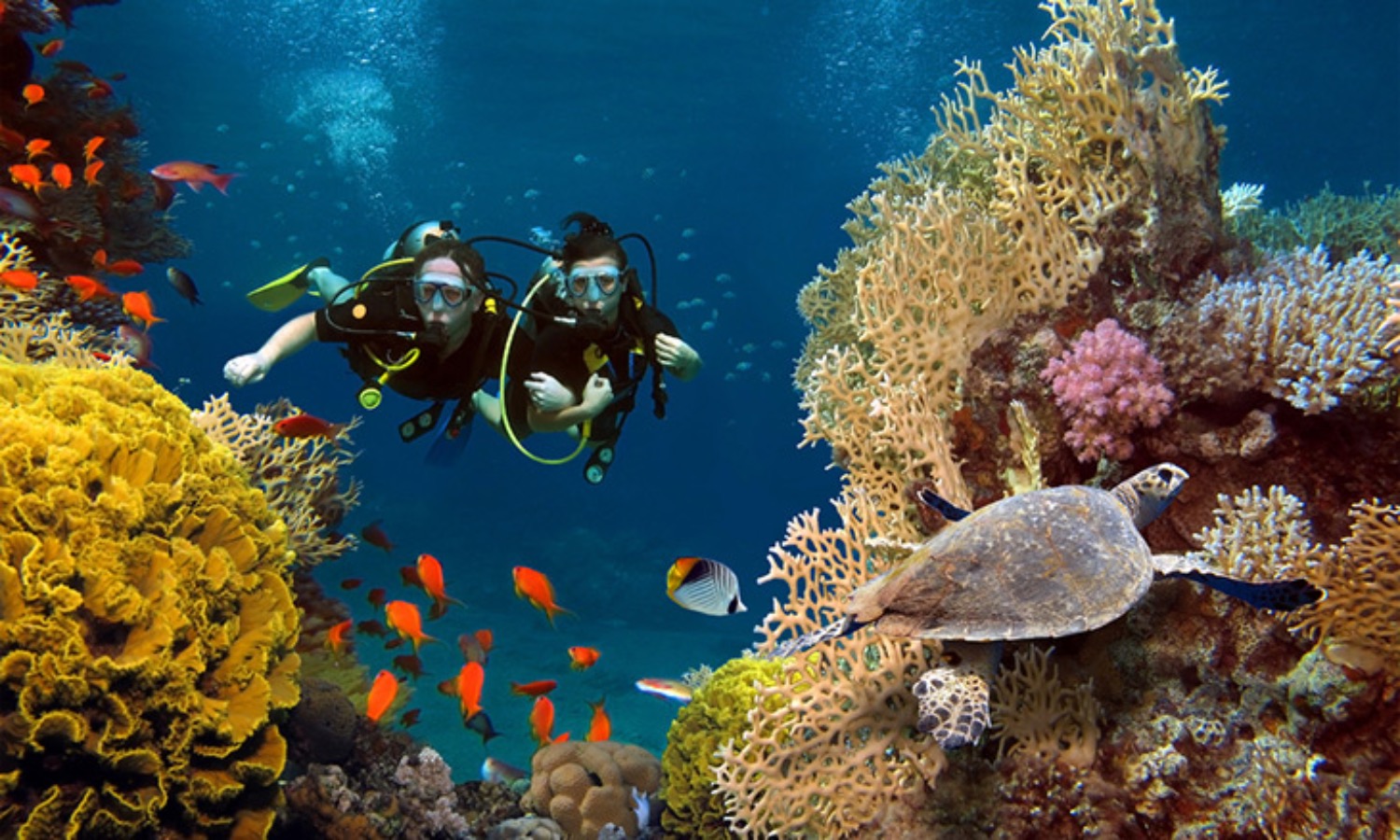 Dubai Reef : le plus grand récif artificiel du monde | Die Geissens Real Estate | Luxus Immobilien mit Carmen und Robert Geiss – Die Geissens in Dubai