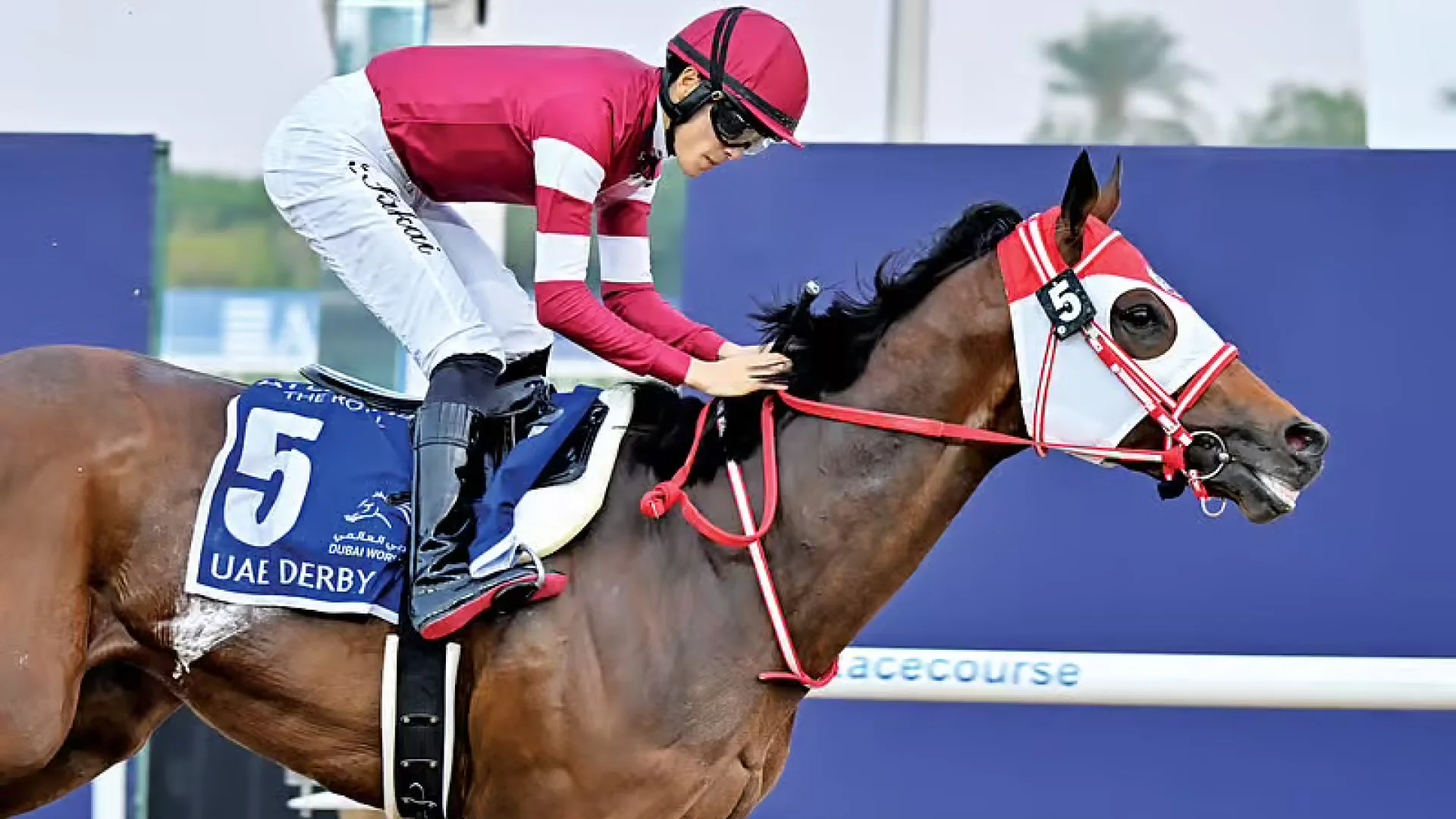 Dubai World Cup 2026: des millions à chaque foulée | Die Geissens Real Estate | Luxus Immobilien mit Carmen und Robert Geiss – Die Geissens in Dubai