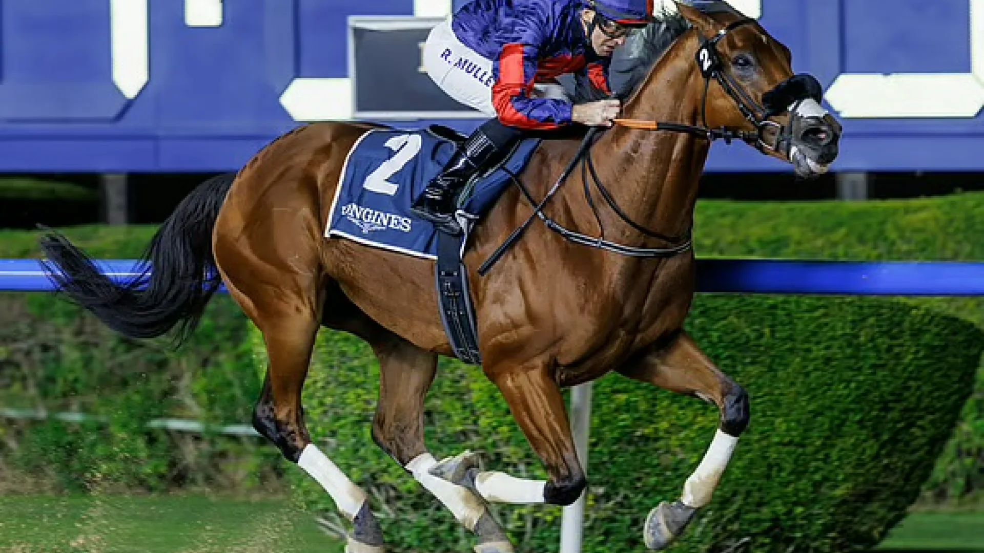 Fashion Friday à Meydan: mode, vitesse, grands rêves | Die Geissens Real Estate | Luxus Immobilien mit Carmen und Robert Geiss – Die Geissens in Dubai