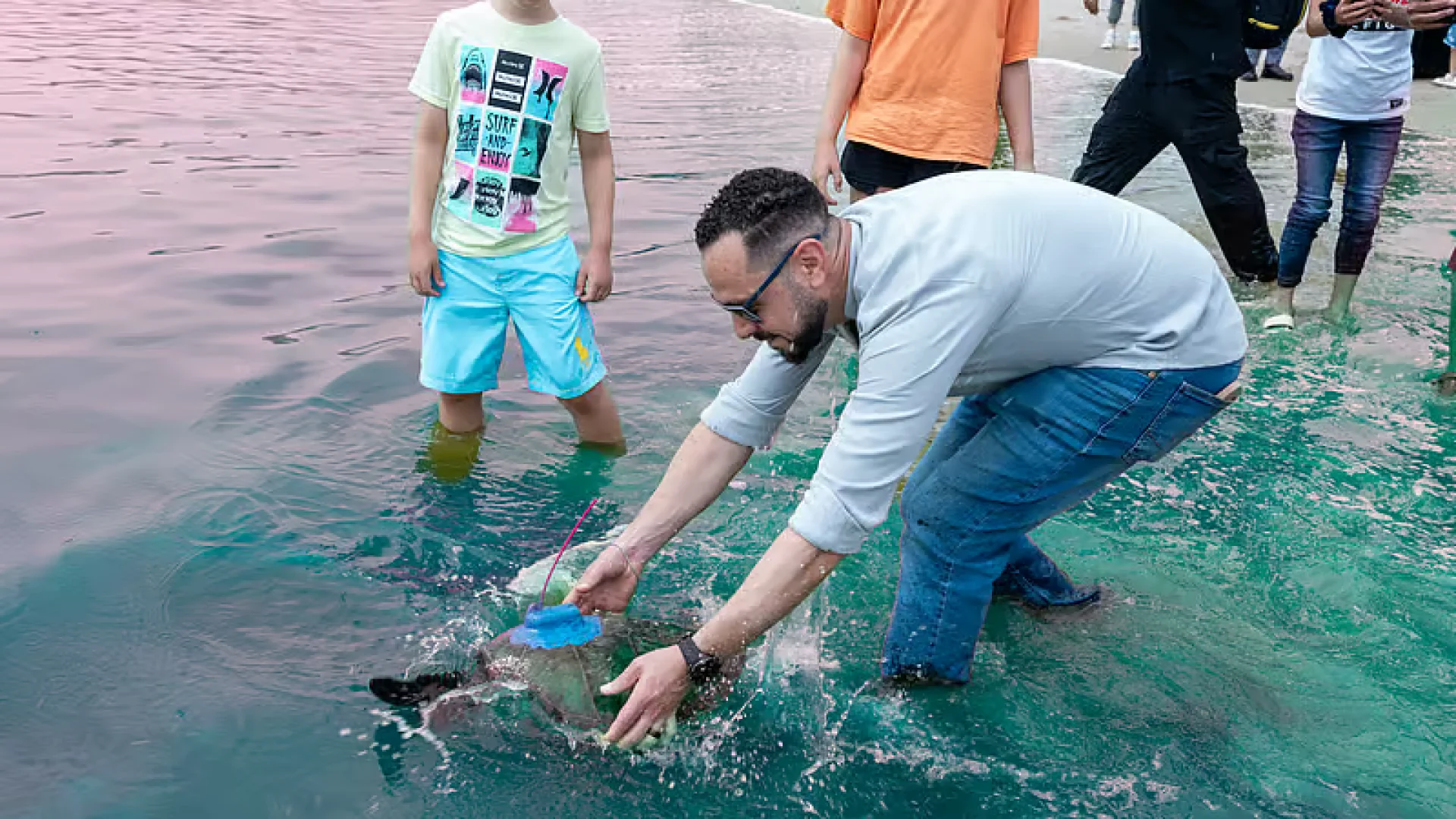 Fujairah releases rescued green sea turtles | Die Geissens Real Estate | Luxus Immobilien mit Carmen und Robert Geiss – Die Geissens in Dubai